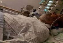 Legendary comedian Umer Sharif breaths his last in Germany at 66 Umar Sharif - The News Today - TNT