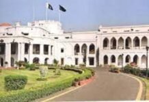 Punjab govt decides to hold LG polls in March-April 2022 Lahore - The News Today - TNT