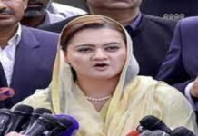 India responsible for smog in Pakistan, besides use of plastic: Marriyum Marriyum - The News Today - TNT