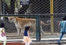 Karachi Zoo restores supply of food to animals Zoo - The News Today - TNT