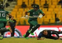Pakistan have no fear of anyone at T20 World Cup: Mohammad Hafeez cricket - The News Today - TNT