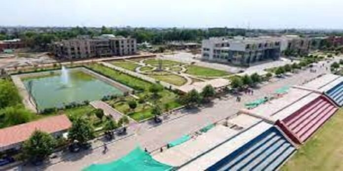 AAU - The News Today - TNT