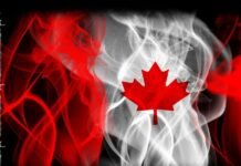 COVID-19 pandemic impacts falling unemployment in Canada Canada - The News Today - TNT