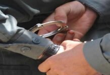 Customs, Rangers arrest smuggler with six untaxed vehicles in Karachi Kabli - The News Today - TNT