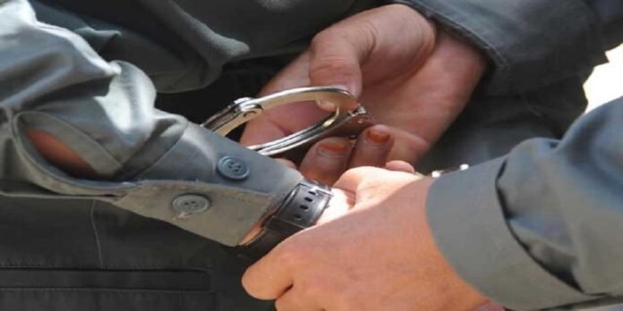 Kabli - The News Today - TNT