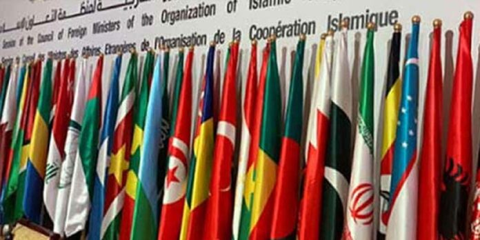 OIC - The News Today - TNT