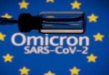 Pakistan confirms first case of Omicron variant Omicron - The News Today - TNT