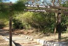 All hiking trails on Margalla hills closed for a week