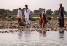 Father of five drowns in Jacobabad canal canal - The News Today - TNT