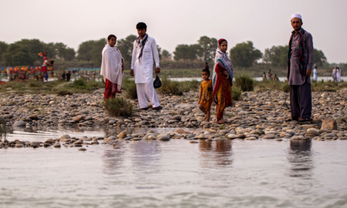 canal - The News Today - TNT