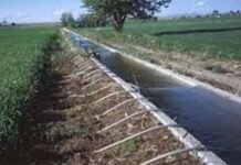 Addressing Pakistan’s Water Scarcity: Challenges and Solutions for Agricultural Development