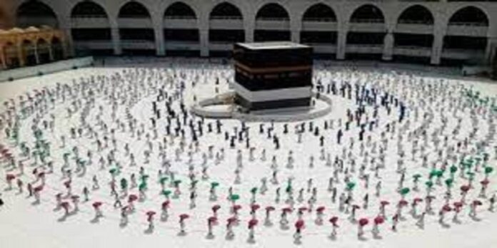 Hajj Hajj - The News Today - TNT