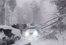 21 die in trapped vehicles after snowstorm hit Murree, other northern areas At least 21 people died in Murree lives while being trapped in their vehicles after snowstorm hit the tourist spot and other northern