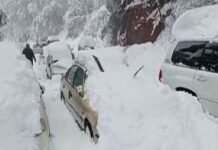 Punjab govt to give Rs 800,000 each to Murree tragedy victims’ heirs Murree Tragedy - The News Today - TNT