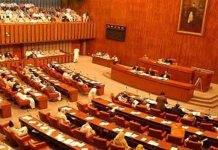 Govt eager to get SBP bill passed from Senate within 72 hours Senate - The News Today - TNT