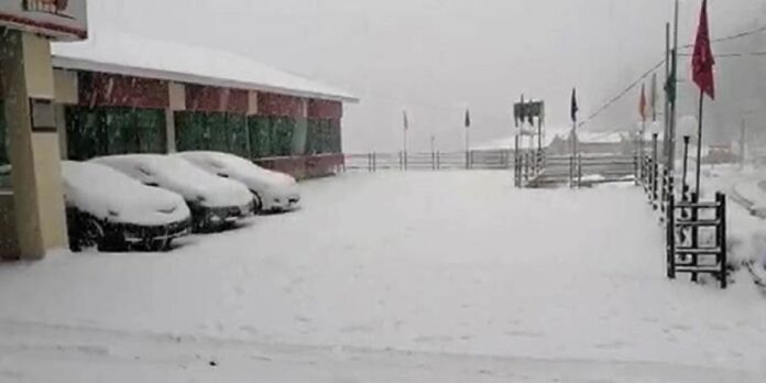 Snow Snow - The News Today - TNT