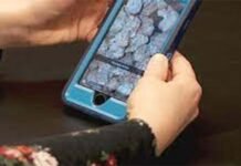 Challenges and Controversies Surrounding Pakistan’s Social Media Regulatory Authority Social Media The News Today The News Today-TNT