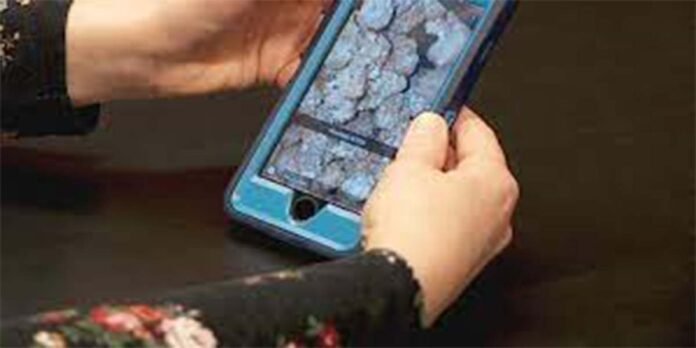 Use of social media by drug dealers Social Media The News Today The News Today-TNT