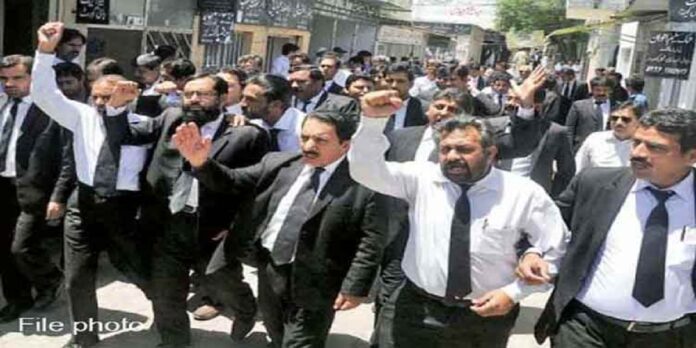 Lawyers - The News Today - TNT