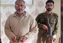 Woman, three children killed in Gujrat kill - The News Today - TNT