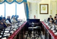 Federal Cabinet declares President Alvi’s role as unconstitutional Cabinet - The News Today - TNT