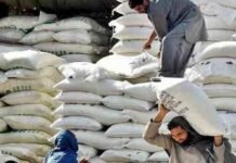 Price of 20kg flour bag jumps by Rs180 at Utility Stores Flour - The News Today - TNT