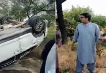 Driver who hit Shahbaz Gill on motorway arrested Gill - The News Today - TNT