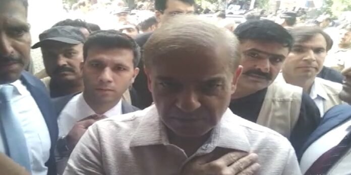 Shehbaz - The News Today - TNT