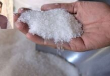 Punjab CM directs sugar mills to sell sugar at Rs 70 per kg Sugar - The News Today - TNT