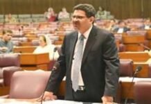 Pakistan saved from becoming Sri Lanka: Miftah Ismail Miftah - The News Today - TNT