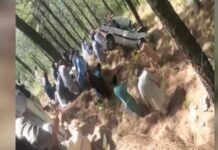 Four killed in car accident in Muzaffarabad Mishap - The News Today - TNT