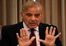 Committed to building economic zones in Balochistan, KP: PM Shehbaz PM - The News Today - TNT