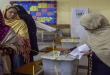 PPP takes clean lead in first phase of Sindh LG polls Polls - The News Today - TNT