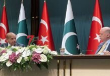 Shehbaz, Erdogan reaffirm to upgrade bilateral ties to new heights Summit - The News Today - TNT