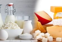 Pakistan plans dairy products export to China Dairy - The News Today - TNT