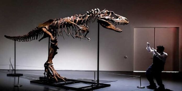 Dinosaur - The News Today - TNT