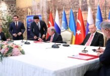 Grain coordination centre set to launch in Istanbul Grain - The News Today - TNT