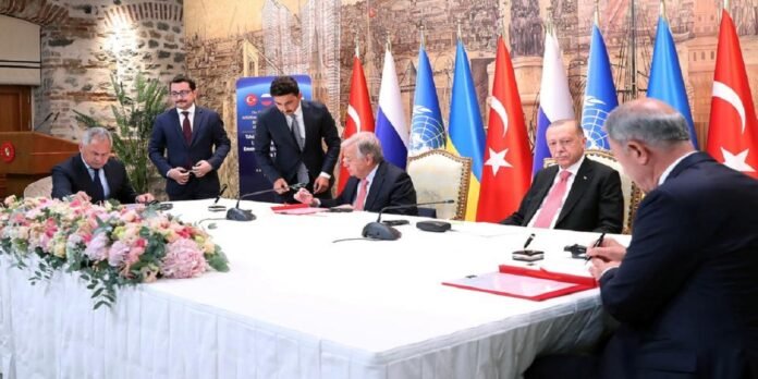 Grain Grain - The News Today - TNT