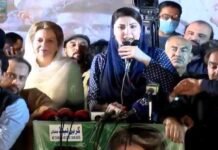 PTI govt left no choice for us but to take tough decisions: Maryam Nawaz Maryam - The News Today - TNT