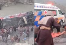 19 die as bus falls in gorge near Sherani District Mishap - The News Today - TNT