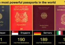 Japanese Passport remains most powerful passports across the globe for 5th year in 2022 Passports - The News Today - TNT