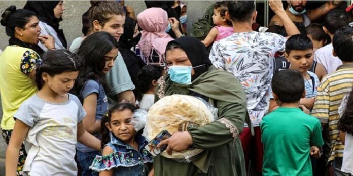 Wheat Wheat - The News Today - TNT