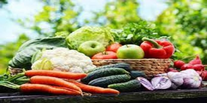 Food Food - The News Today - TNT