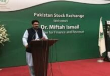 Miftah Ismail says economic hardships to persist till September Miftah - The News Today - TNT