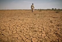Government must introduce mechanism to stop desertification Punjab - The News Today - TNT