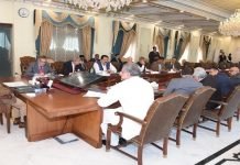 Prime Minister gives green signal to 2,000MW solar projects in public sector Cabinet - The News Today - TNT