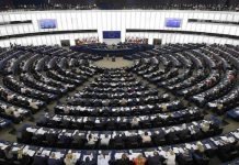 European Parliament Members call for action to tackle human rights challenges MEPs - The News Today - TNT