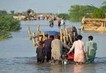 Climate change claims 2 million lives in half a century: UN flood impacts - The News Today - TNT