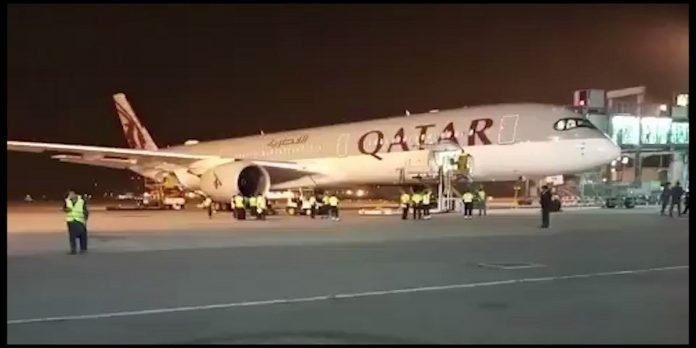 Body Body - The News Today - TNT