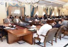 Premier Shehbaz predicts Industrial boom due to CPEC set to enter B2B phase Cabinet - The News Today - TNT